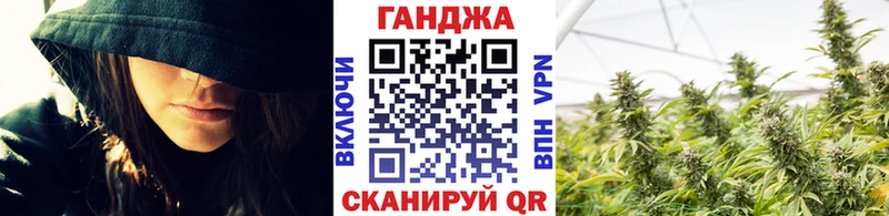 как найти   Зубцов  Шишки марихуана гибрид 